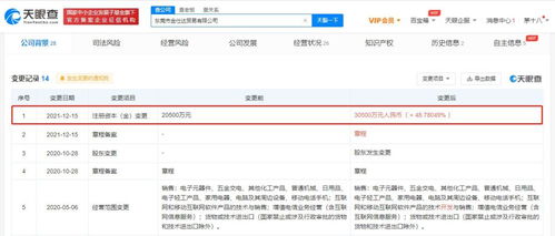 代理 網絡世界中的雙重身份與現實啟示